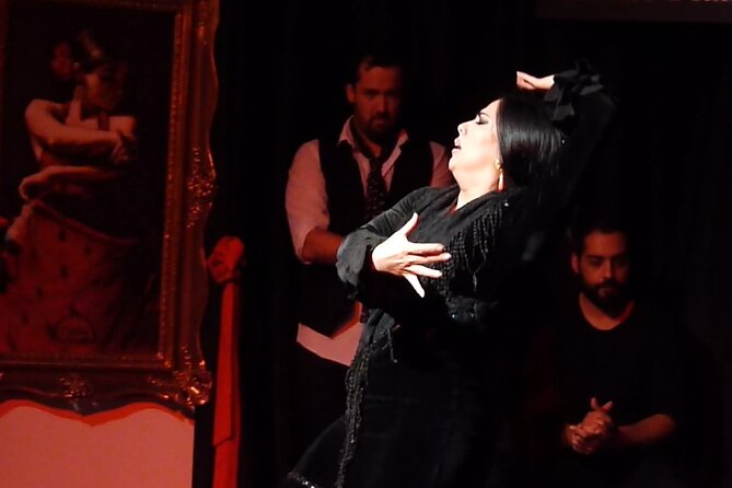 Albaicín and Sacromonte Walking Tour and Flamenco Show - Is $33.72 a good price?