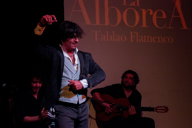 Albaicín and Sacromonte Walking Tour and Flamenco Show - Who will enjoy this tour most?