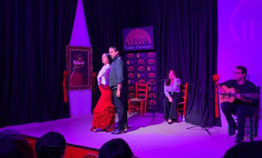 Albaicín & Sacromonte: Tour with Flamenco Show - Flamenco at Tablao Flamenco La Alboreá