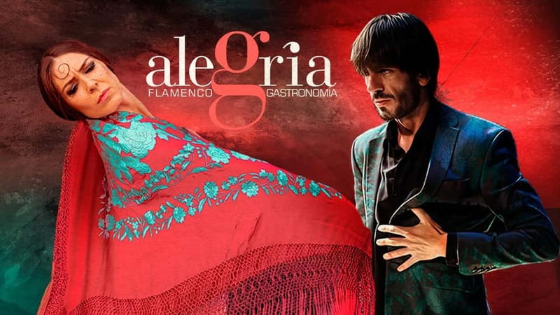 Alegria Flamenco in Malaga, with Transfer, Cocktail and Premium Location - Why this Malaga flamenco package works well