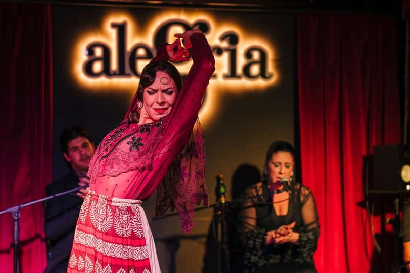 Alegria Flamenco in Malaga, with Transfer, Cocktail and Premium Location - The value of a 93 dollar evening