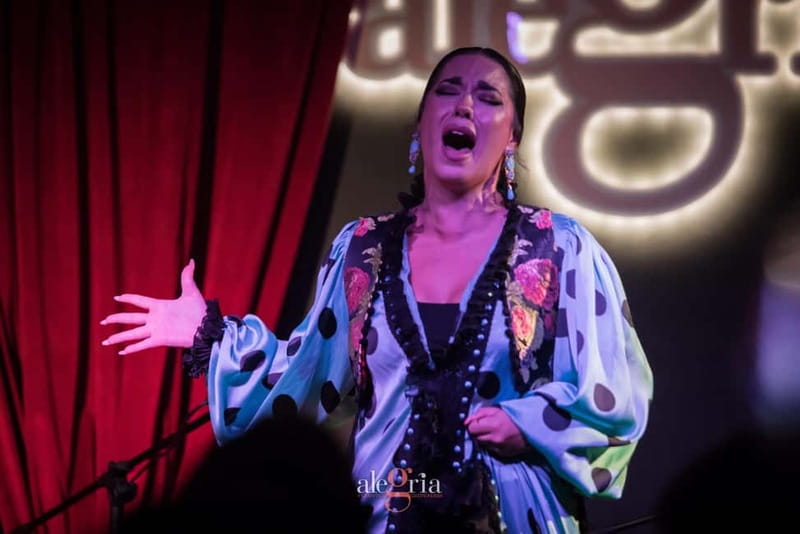 Alegria Flamenco in Malaga, with Transfer, Cocktail and Premium Location - From your hotel to central Malaga