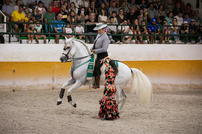 Andalusian Horses and Flamenco show with transportation - Key details to know before booking