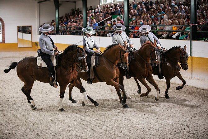Andalusian Horses and Flamenco show with transportation - The horses are the real stars