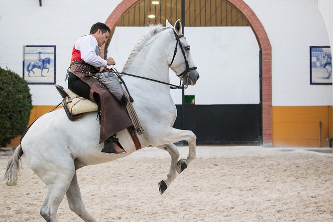 Andalusian Horses and Flamenco show with transportation - Is the $51.66 price fair?