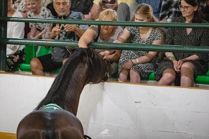 Andalusian Horses and Flamenco show with transportation - Who will enjoy this most?
