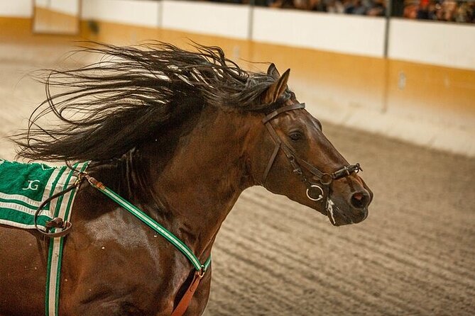 Andalusian Horses and Flamenco show with transportation - Practical tips for a smoother evening