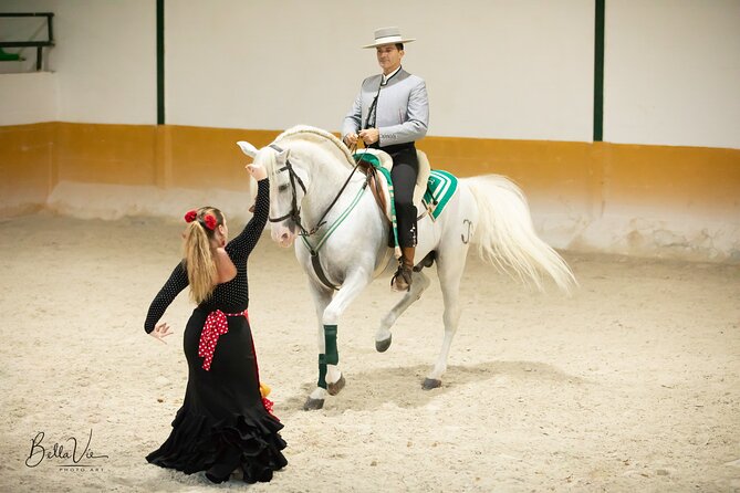 Andalusian Horses and Flamenco show with transportation - How much flamenco should you expect?