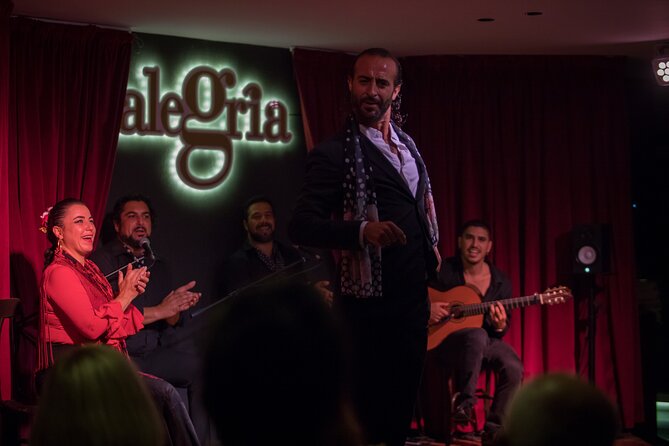 Authentic flamenco show. Alegria and gastronomy Malaga - The dancers bring the strongest physical energy