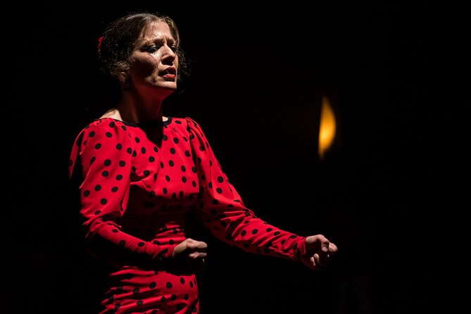Authentic Flamenco Show at the Barcelona Flamenco Theater - Choosing a ticket without overpaying