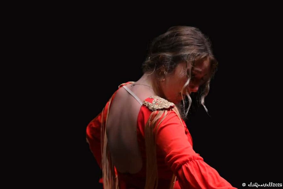 Authentic Flamenco Show Valencia - What the $23 ticket actually gives you