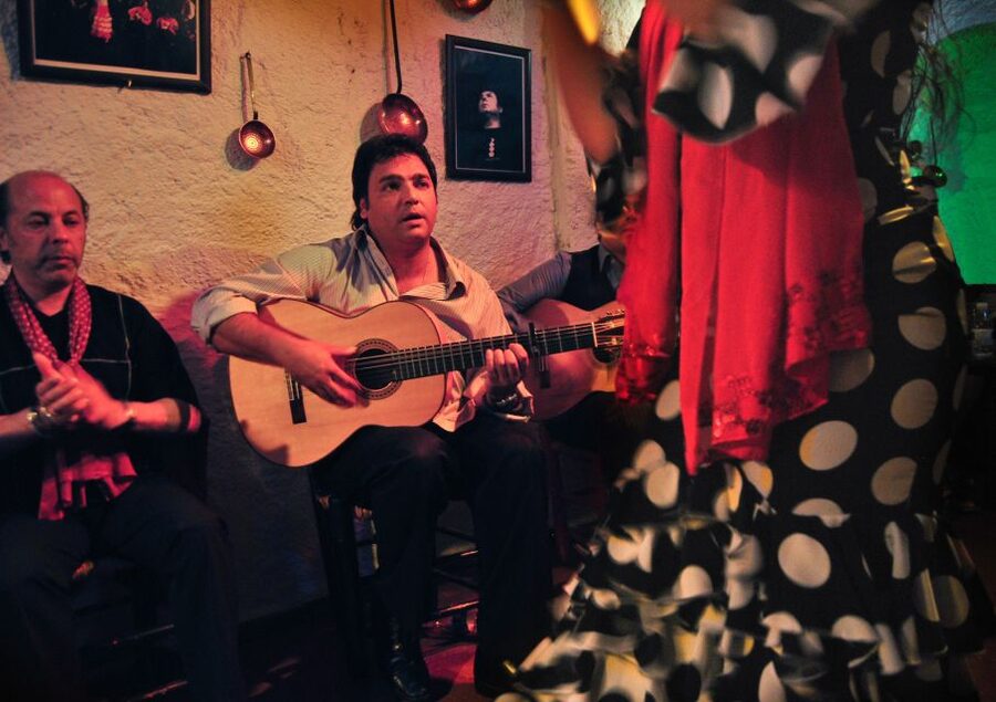Barcelona: City Tour & Flamenco Show with Wine & Tapas - What the guides add to the evening