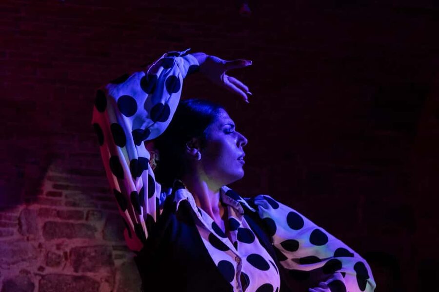 Barcelona: Espectáculo de Flamenco íntimo en Las Brujas - Entering the 17th-century bodega