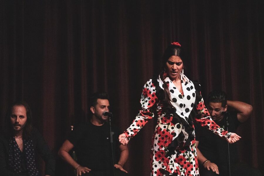 Barcelona: Flamenco Show at Palau Dalmases - Key points at a glance
