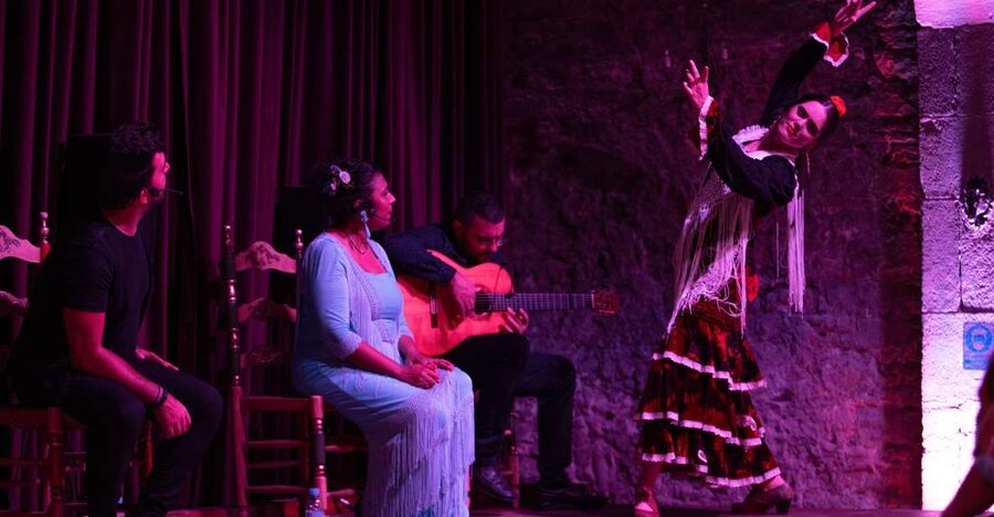 Barcelona: Flamenco Show at Palau Dalmases - Why the small stage works so well