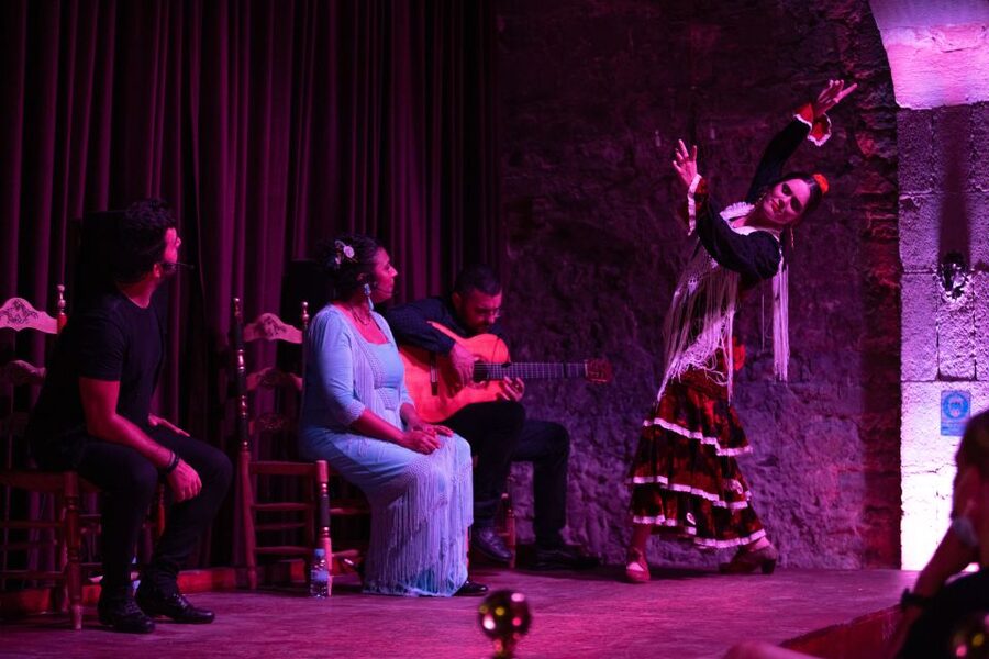 Barcelona: Flamenco Show at Palau Dalmases - What happens during the 50-minute performance