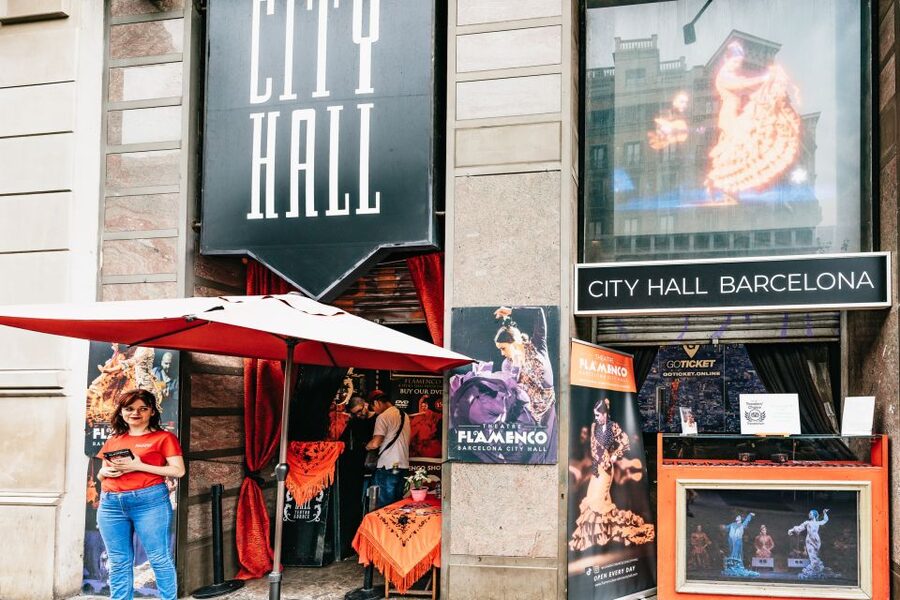 Barcelona: Flamenco Show at the Theater - Who should book this flamenco show?