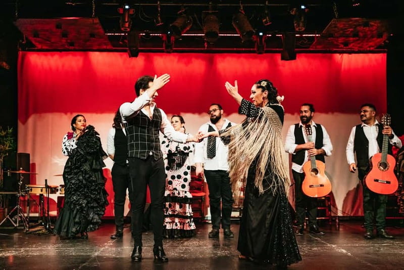 Barcelona: Flamenco Show at the Theater - Choosing between standard, A, and VIP seats