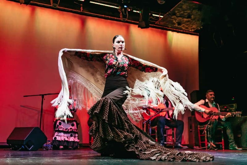 Barcelona: Flamenco Show at the Theater - Is $29 a good value?