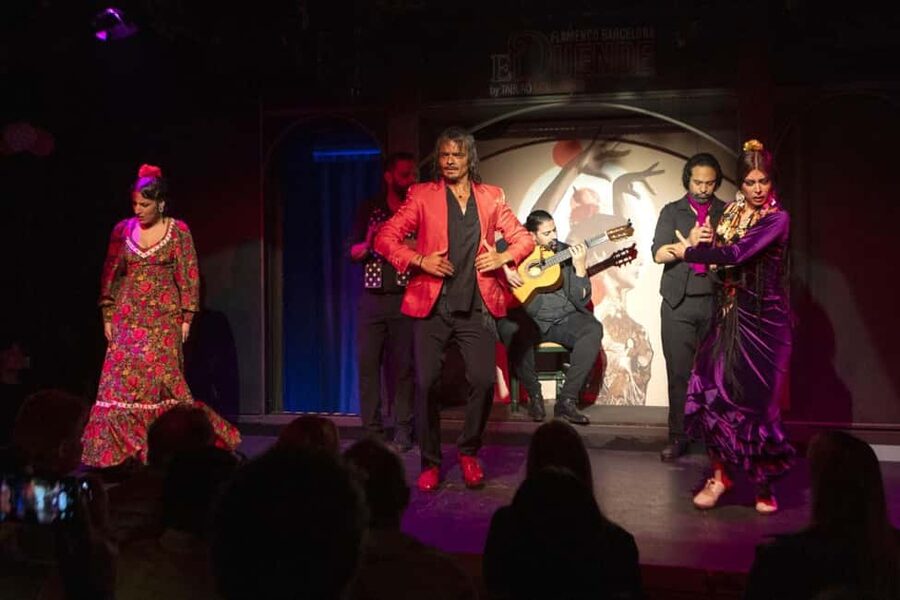 Barcelona: Flamenco Show with Drink Option at La Rambla - Noise, children, and comfort details