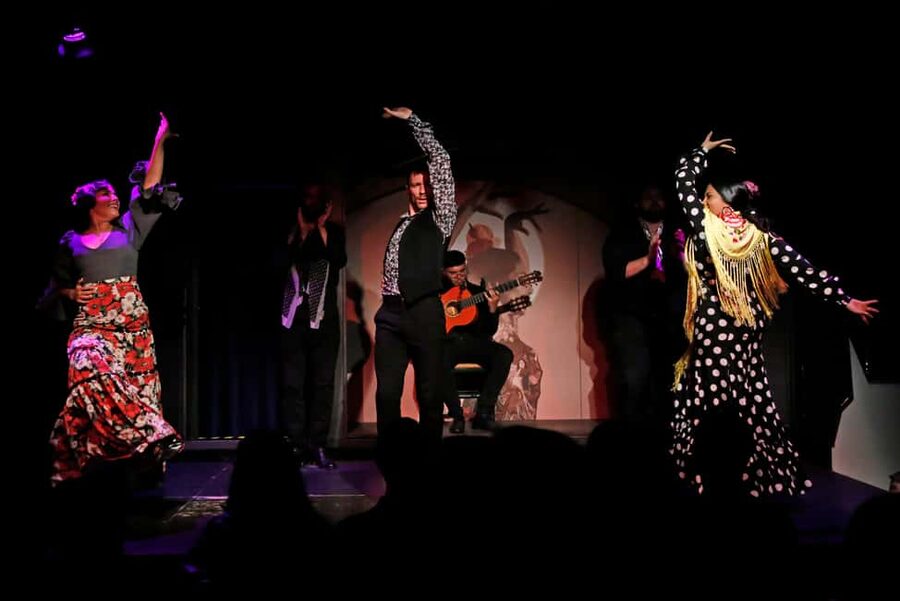 Barcelona: Flamenco Show with Drink Option at La Rambla - What happens during the 55-minute show