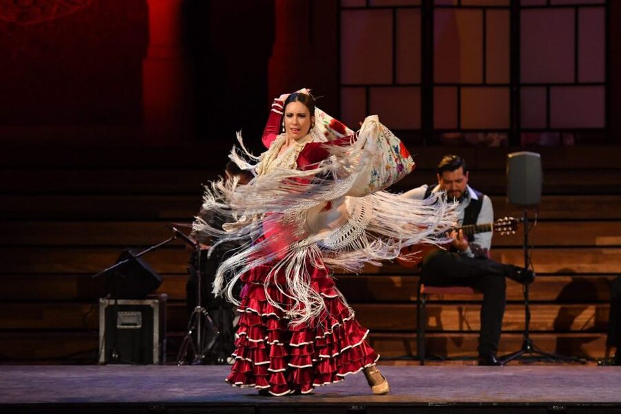 Barcelona: Gran Gala Flamenco Show Entry Ticket - What the 75-minute Gran Gala Flamenco show is like