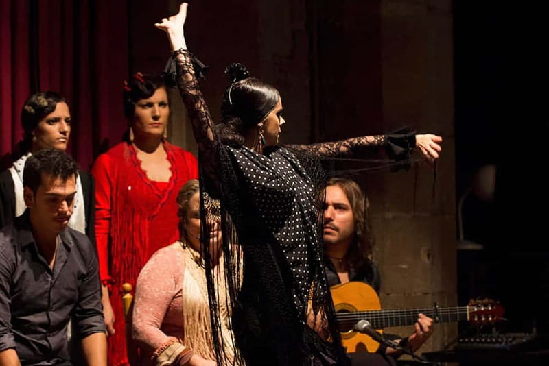 Barcelona: Private Tapas & Wine with Flamenco Show Old Town - Who Will Enjoy This Evening Most?