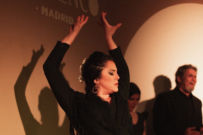 Centro Cultural Flamenco Madrid Admission Ticket - What kind of flamenco show is this?