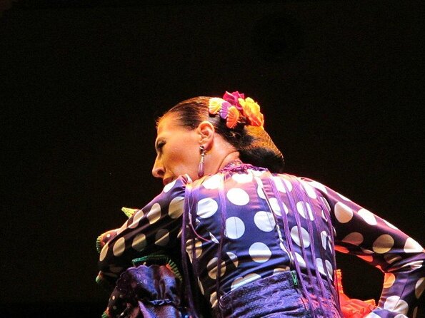 Combined ticket: Puro Flamenco Show + Flamenco Museum visit - Key points to know before you book