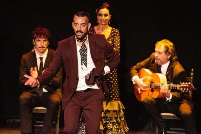 Combo: Hop on hop off + Flamenco Show & Walking tours