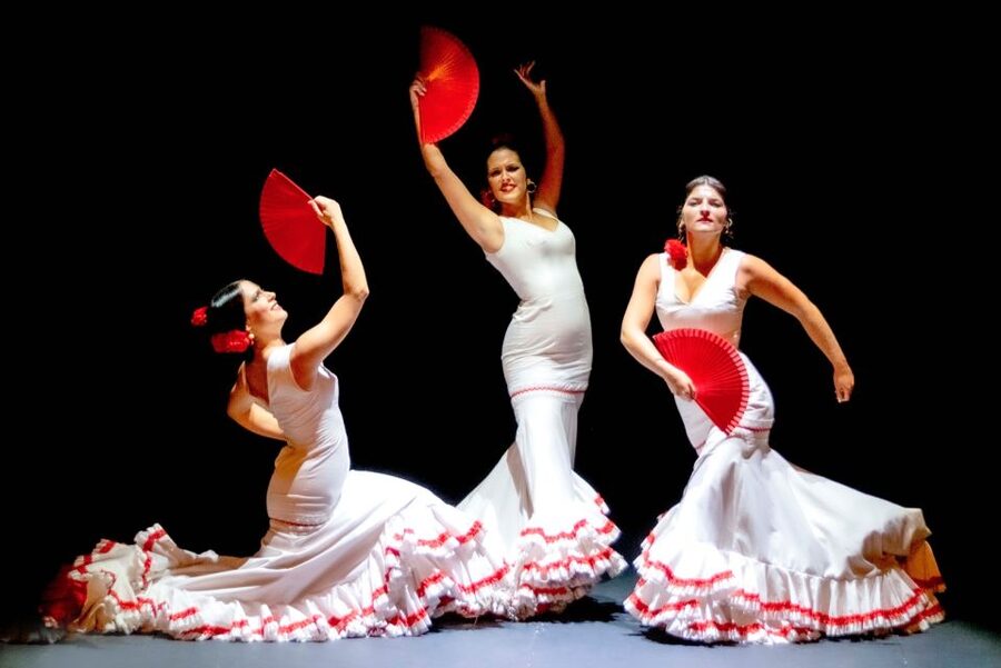 Combo: Hop on hop off + Flamenco Show & Walking tours - Building a workable one-day schedule