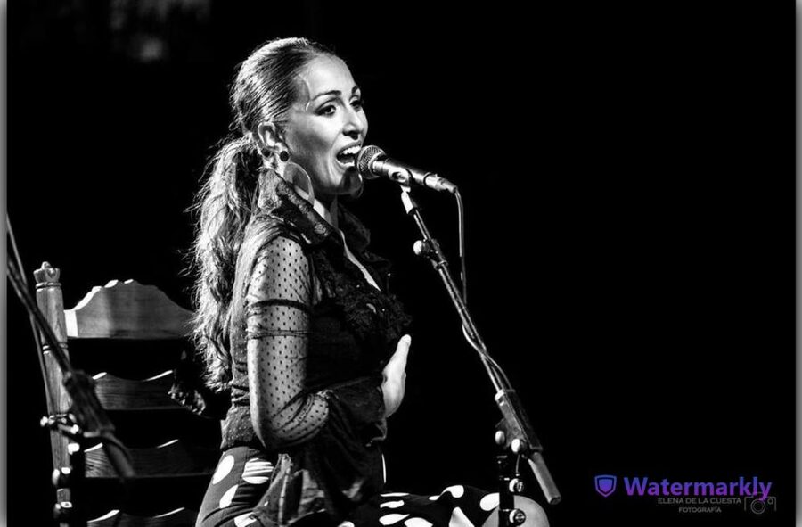 Córdoba: Flamenco Show Ticket with Drinks - Key points at a glance