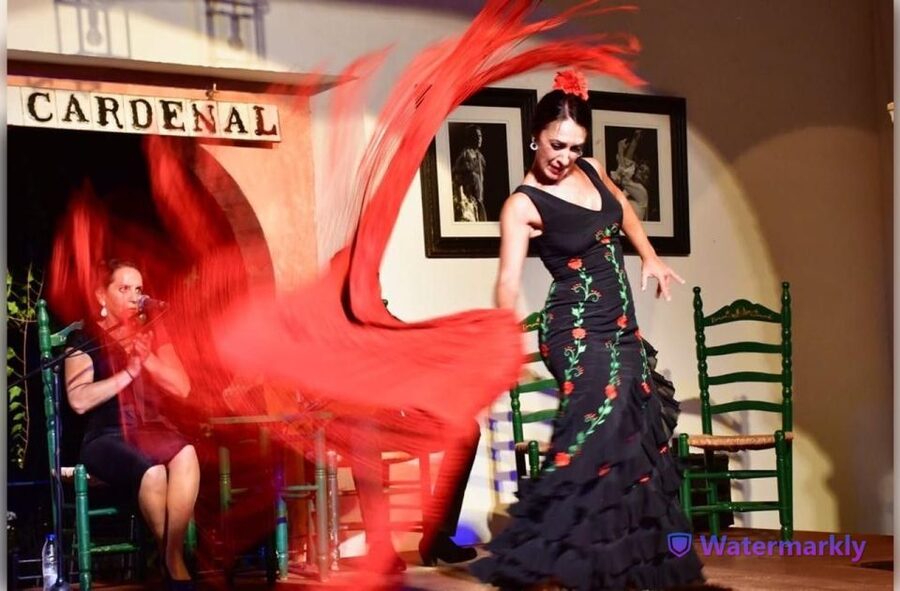 Córdoba: Flamenco Show Ticket with Drinks - A Córdoba evening built around flamenco