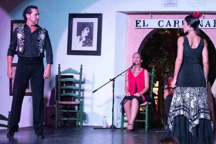 Córdoba: Flamenco Show Ticket with Drinks - The drink and optional tapas