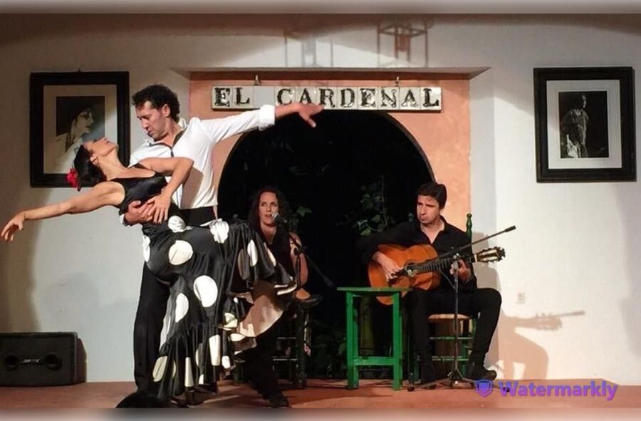 Córdoba: Flamenco Show Ticket with Drinks - Who will enjoy this show most