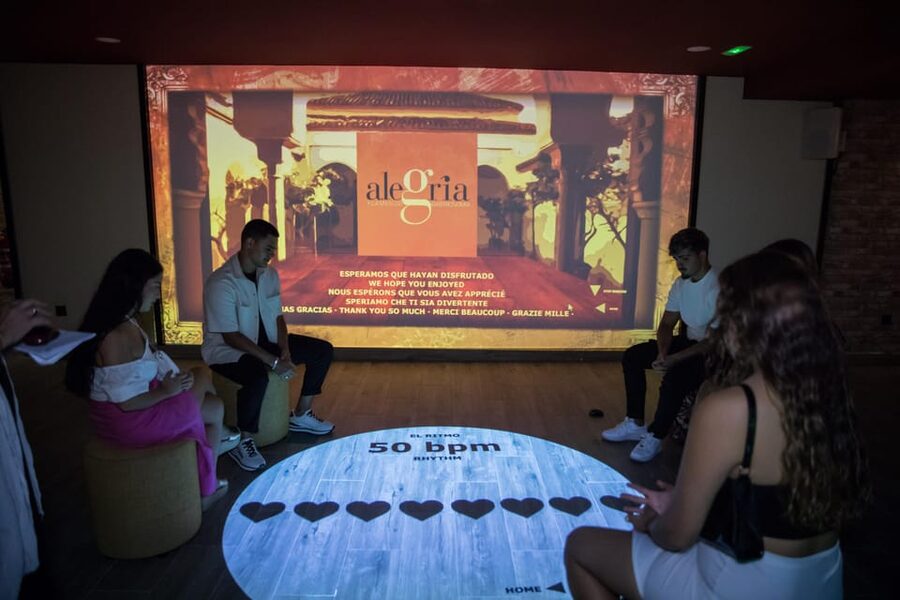 Dive In and Discover: Flamenco in an Interactive Journey - Key points to know before booking