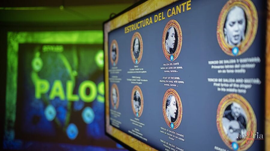 Dive In and Discover: Flamenco in an Interactive Journey - Booking advice and flexible plans