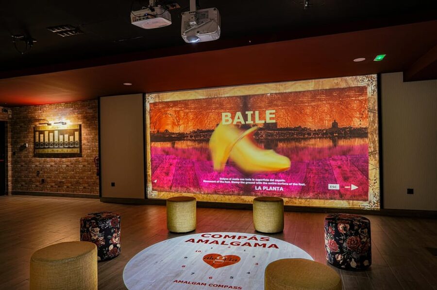 Dive In and Discover: Flamenco in an Interactive Journey - Price and value for families, couples, and solo visitors