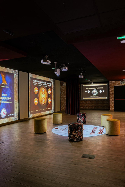 Dive In and Discover: Flamenco in an Interactive Journey - Who should book this experience