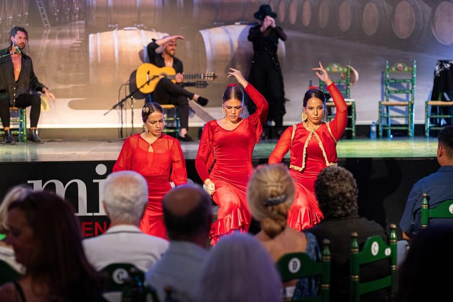 Estepona: Andalusian Flamenco Show Entry Ticket with Drink - A 90-minute window into Andalusian flamenco