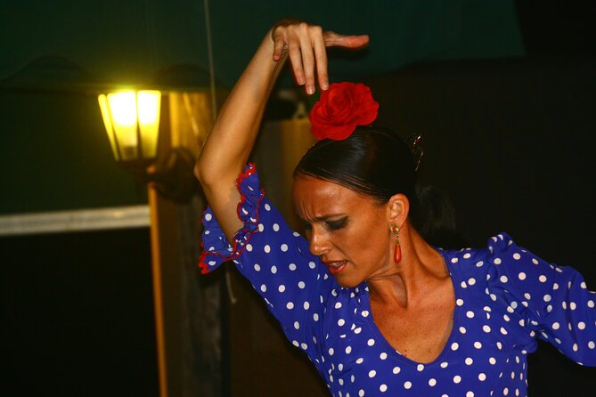Flamenco and Outdoor Grill Evening (Guadalmina) - Sangria first, then a generous barbecue