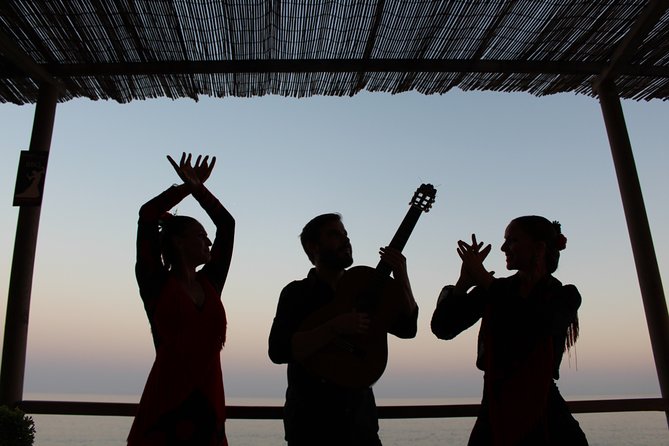 Flamenco evening and barbecue by the sea at the Blue Dolphin Beach Club - A seaside stage at Playa de la Rada