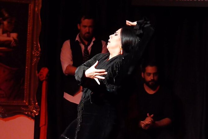 Flamenco in the Center of Granada - Meeting Near Plaza Nueva