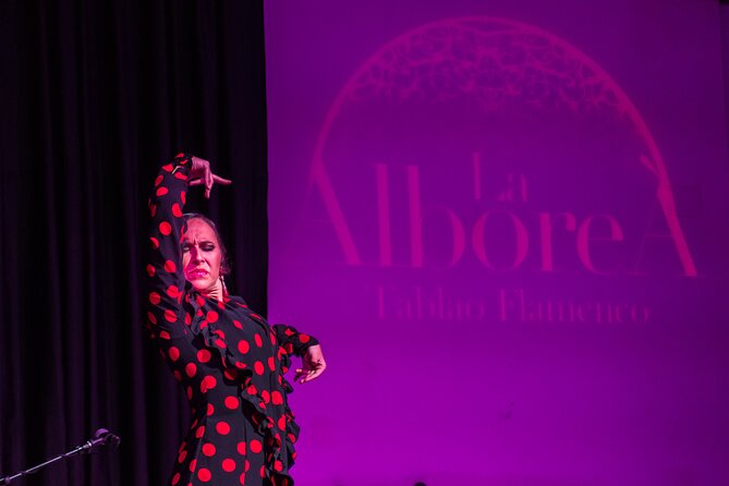 Flamenco in the Center of Granada - Is $47.77 a Fair Price?