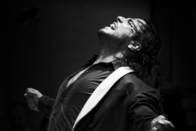 Flamenco Live Show and Dinner in Mexico City - Key points to know before booking