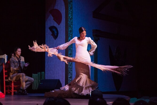 Flamenco Show and Dinner in Seville - Who should book this Seville flamenco night?