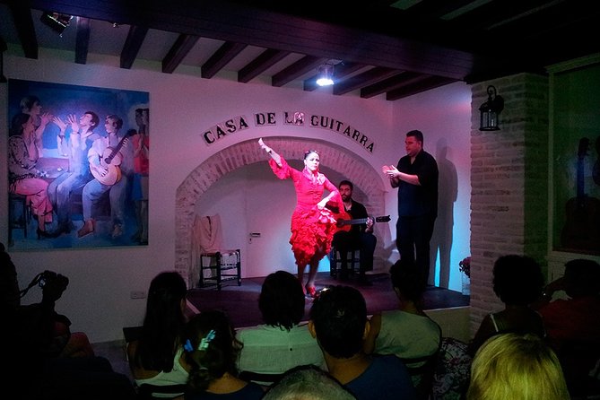 Flamenco Show and Tapas in Seville - The one-hour flamenco show