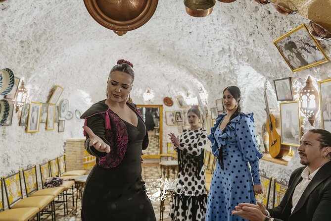 Flamenco show at Cueva Los Amayas, in Sacromonte - Key points at a glance