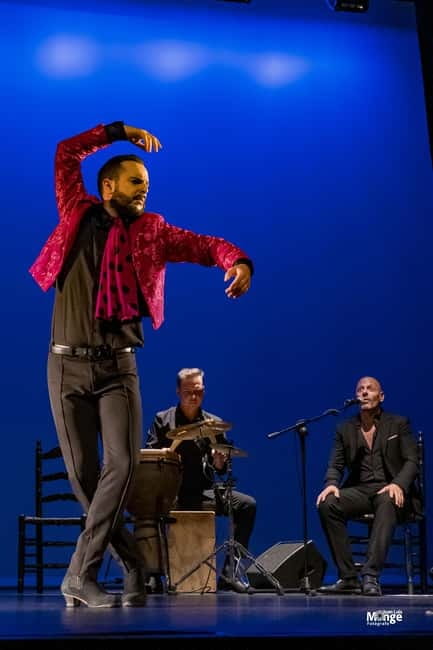Flamenco Show at La Guarida del Angel with Drink - Timing, cancellation, and practical planning