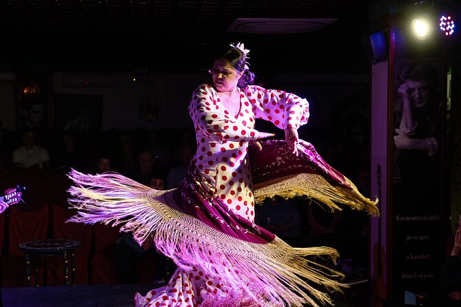 Flamenco Show at Tablao Albayzín Granada - Who Will Enjoy Tablao Flamenco Albayzín Most